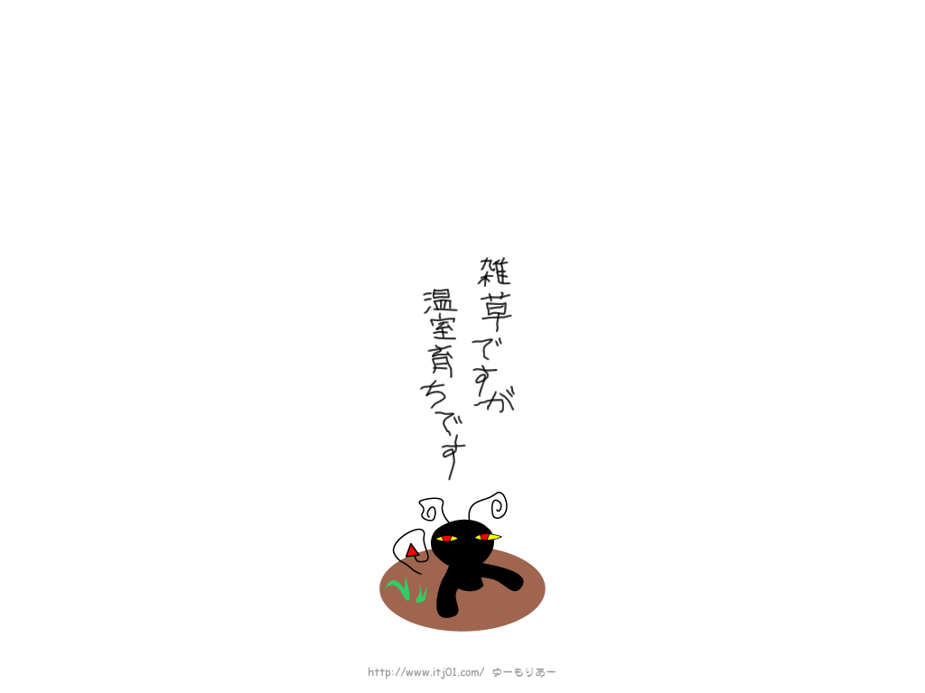 イラストPC壁紙：雑草ですが温室育ちです